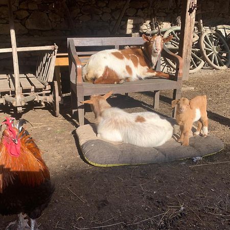 Chalupa Gretl Pohorsko Bagian luar foto
