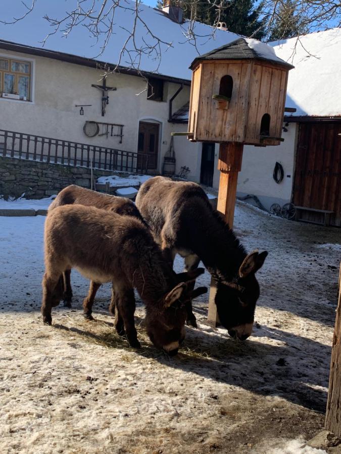 Chalupa Gretl Pohorsko Bagian luar foto