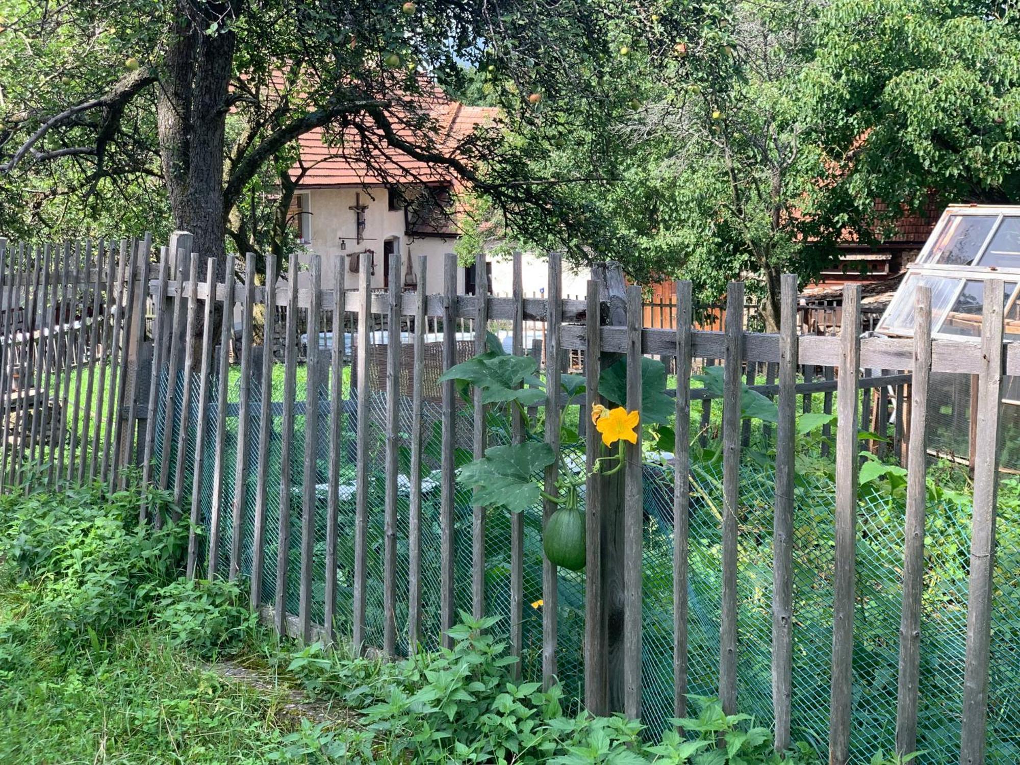 Chalupa Gretl Pohorsko Bagian luar foto