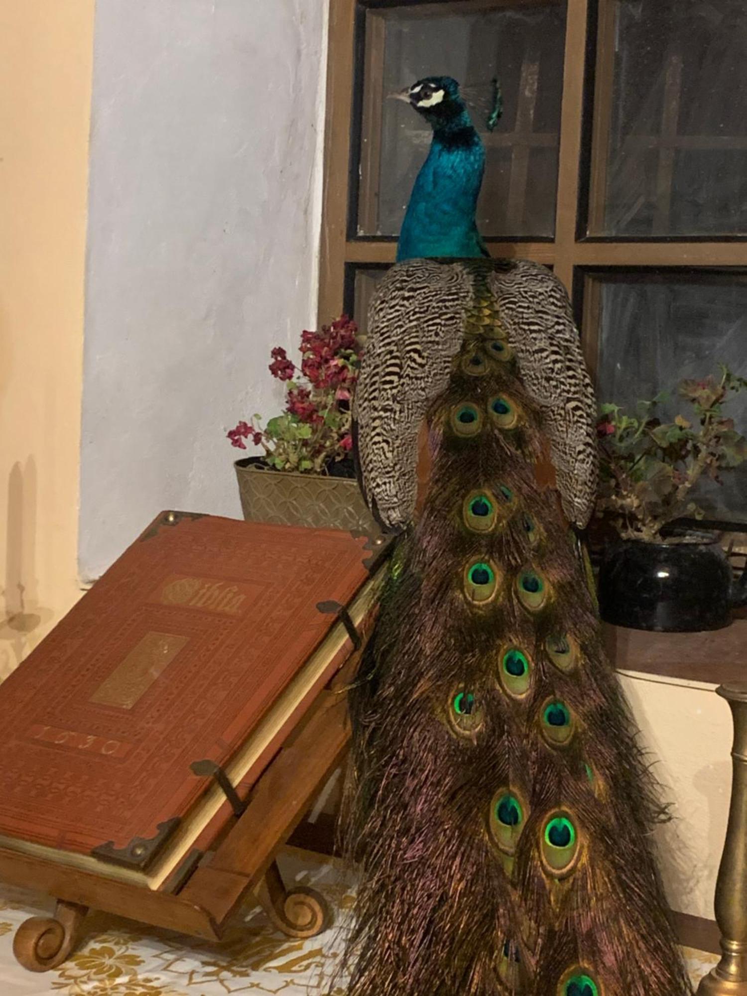 Chalupa Gretl Pohorsko Bagian luar foto